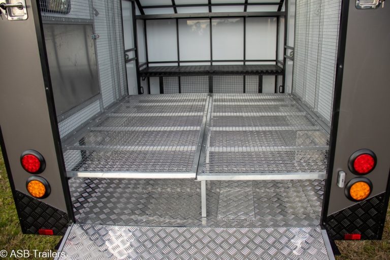Dual Fold Down Bed